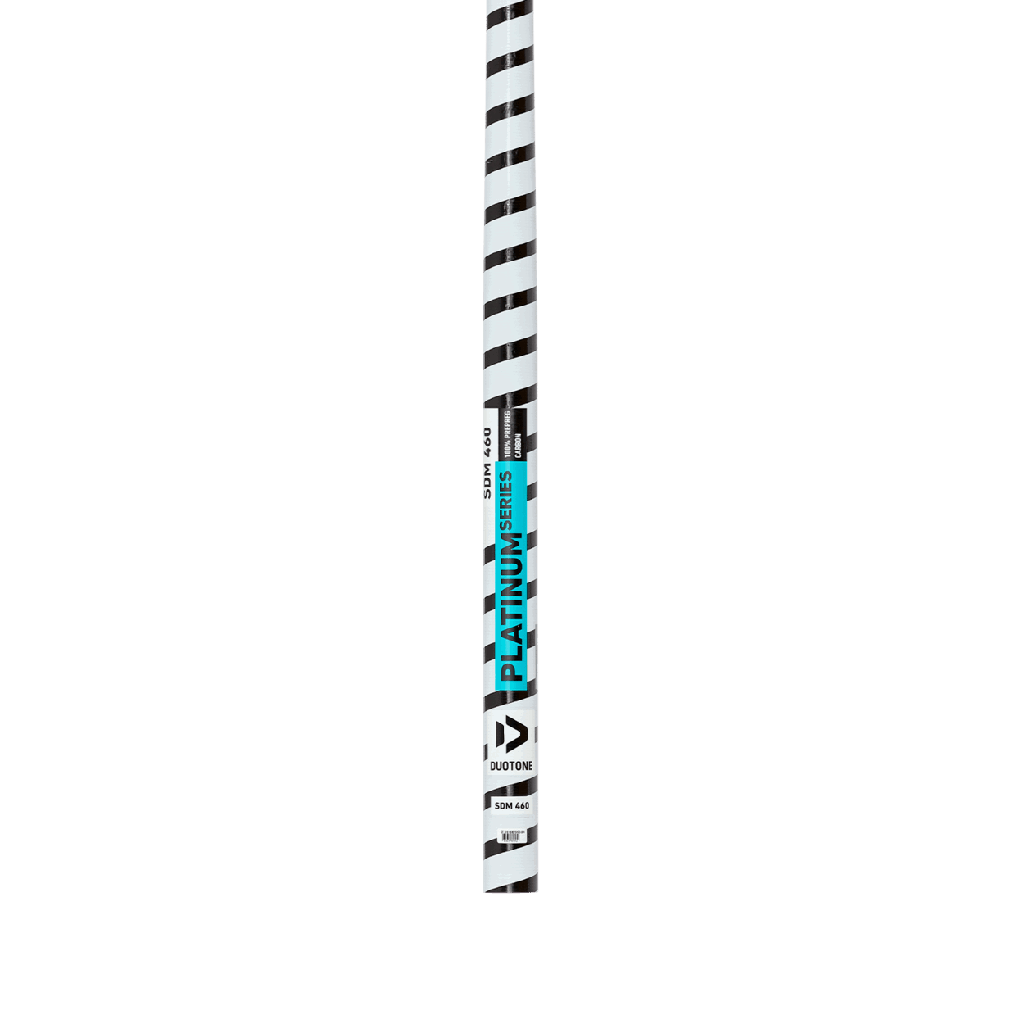 DUOTONE_HARDWARE_Mast_Platinum_SDM.png