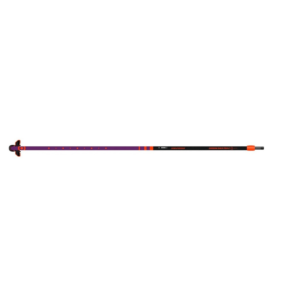 NeilPryde Carbon Race PRO 27 E